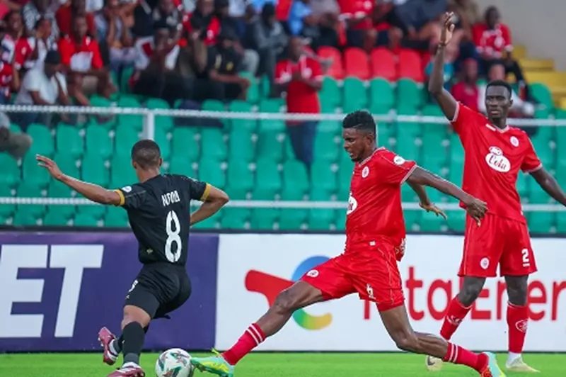 سيمبا وستيلينبوش